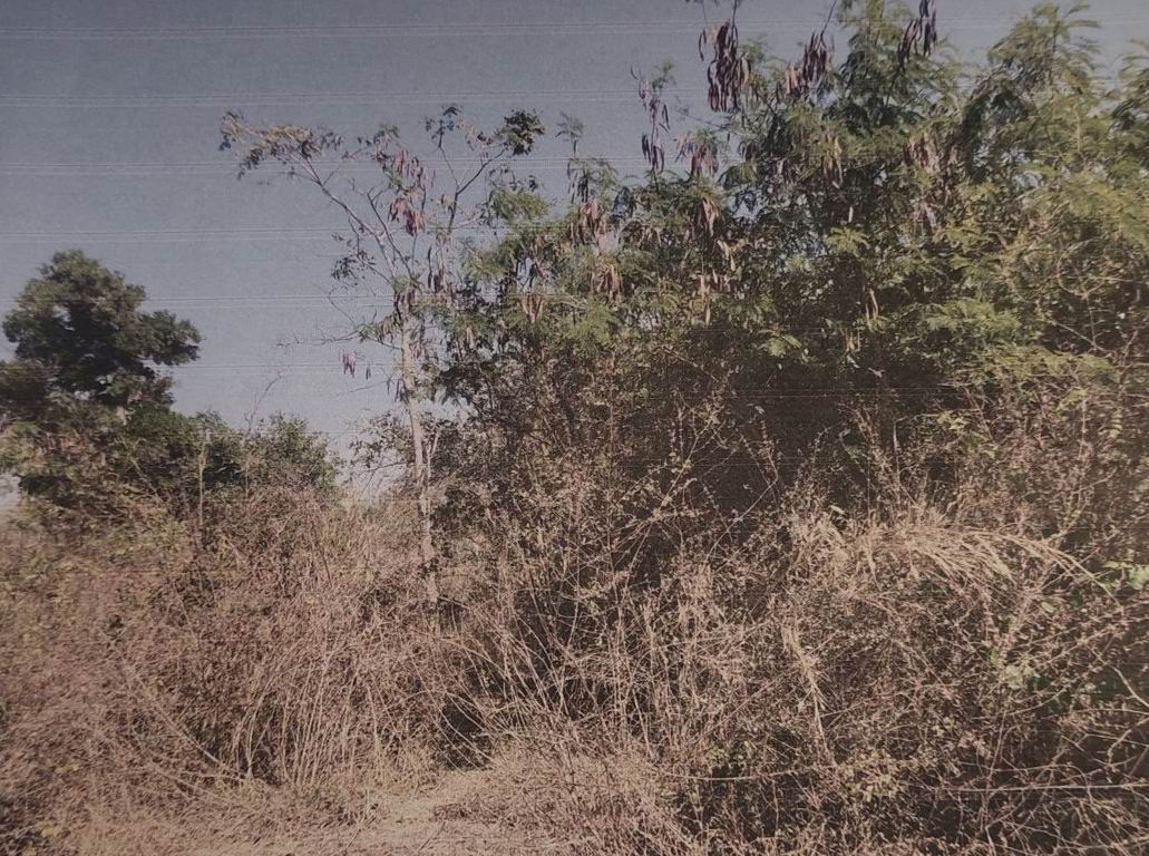 รูปที่ดินว่างเปล่า กุดน้ำใส น้ำพอง ขอนแก่น