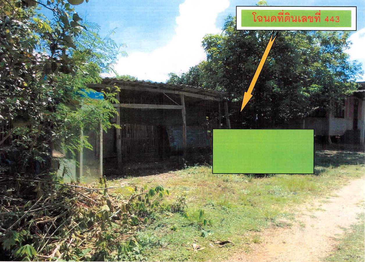 รูปที่ดินพร้อมสิ่งปลูกสร้าง เกาะคา เกาะคา ลำปาง