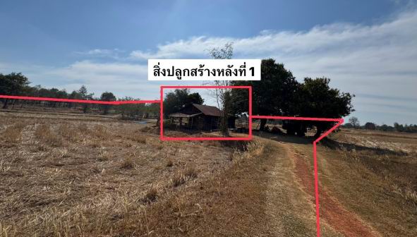 รูปที่ดินพร้อมสิ่งปลูกสร้าง กองโพน นาตาล อุบลราชธานี