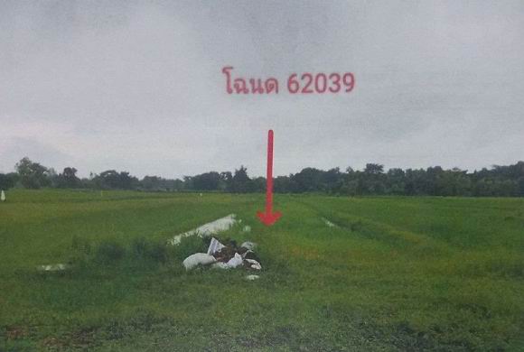 รูปที่ดินว่างเปล่า นาสีนวน กันทรวิชัย มหาสารคาม