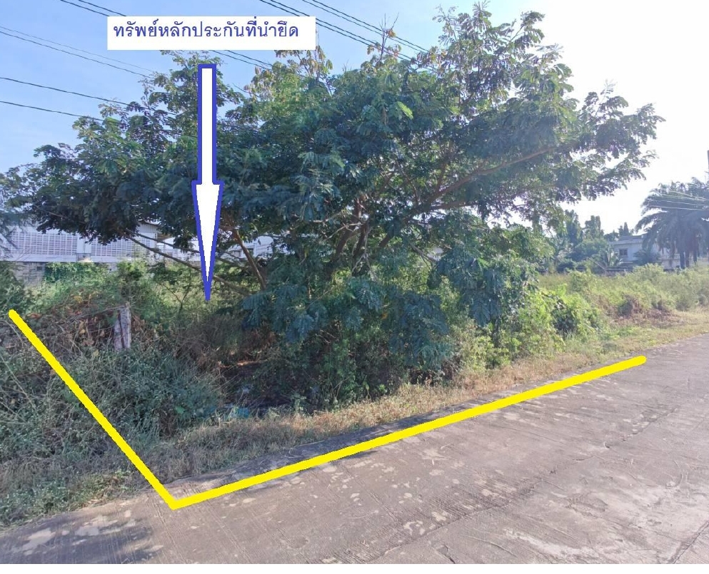รูปที่ดินว่างเปล่า ละหาร บางบัวทอง นนทบุรี