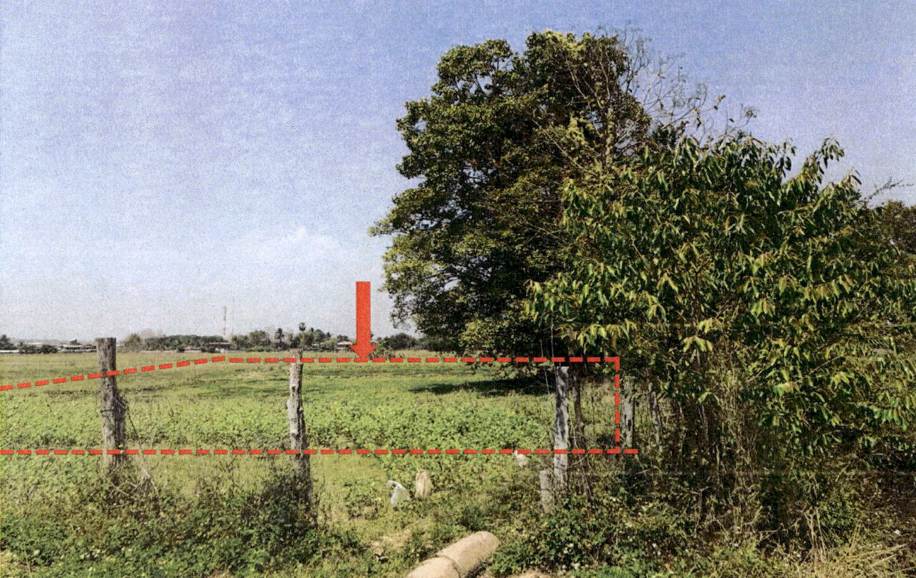 รูปที่ดินว่างเปล่า หลวงใต้ งาว ลำปาง