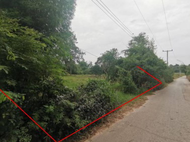 รูปที่ดินว่างเปล่า ไผ่ เมืองกาฬสินธุ์ กาฬสินธุ์