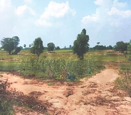 รูปที่ดินว่างเปล่า กุงเก่า ท่าคันโท กาฬสินธุ์