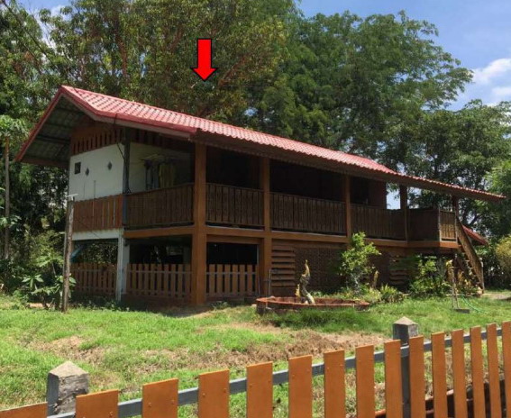 รูปที่ดินพร้อมสิ่งปลูกสร้าง ยางโยภาพ ม่วงสามสิบ อุบลราชธานี