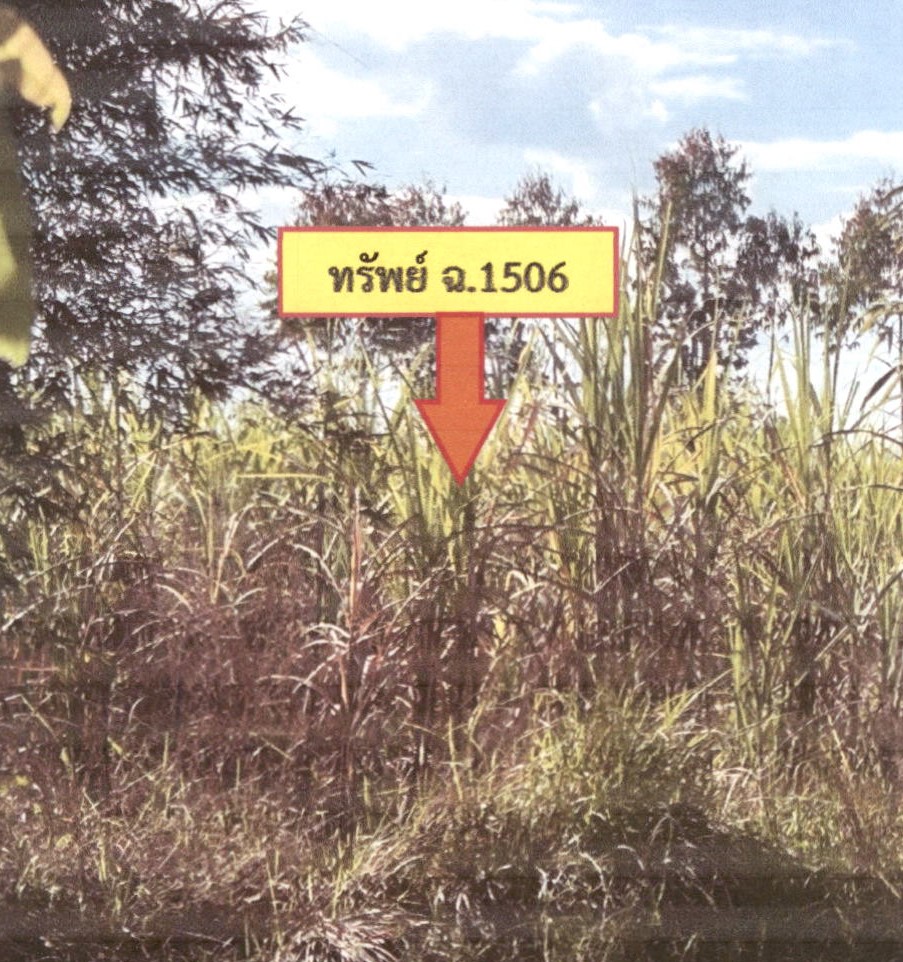 รูปที่ดินว่างเปล่า ท่าคันโท ท่าคันโท กาฬสินธุ์