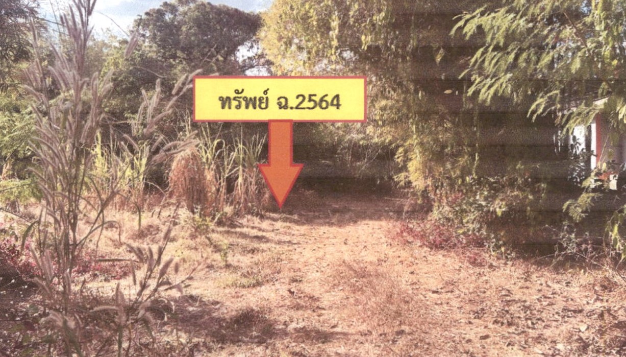 รูปที่ดินว่างเปล่า ท่าคันโท ท่าคันโท กาฬสินธุ์