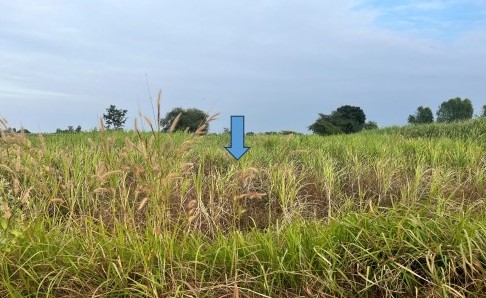 รูปที่ดินว่างเปล่า หัวหิน ห้วยเม็ก กาฬสินธุ์
