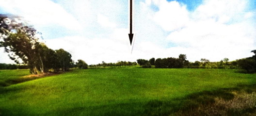 รูปที่ดินว่างเปล่า นาสีนวน กันทรวิชัย มหาสารคาม