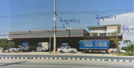 รูปที่ดินพร้อมสิ่งปลูกสร้าง บ้านป่า เมืองพิษณุโลก พิษณุโลก