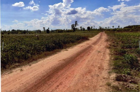 รูปที่ดินว่างเปล่า สำราญ สามชัย กาฬสินธุ์