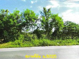 รูปที่ดินว่างเปล่า ไทรน้อย ไทรน้อย นนทบุรี