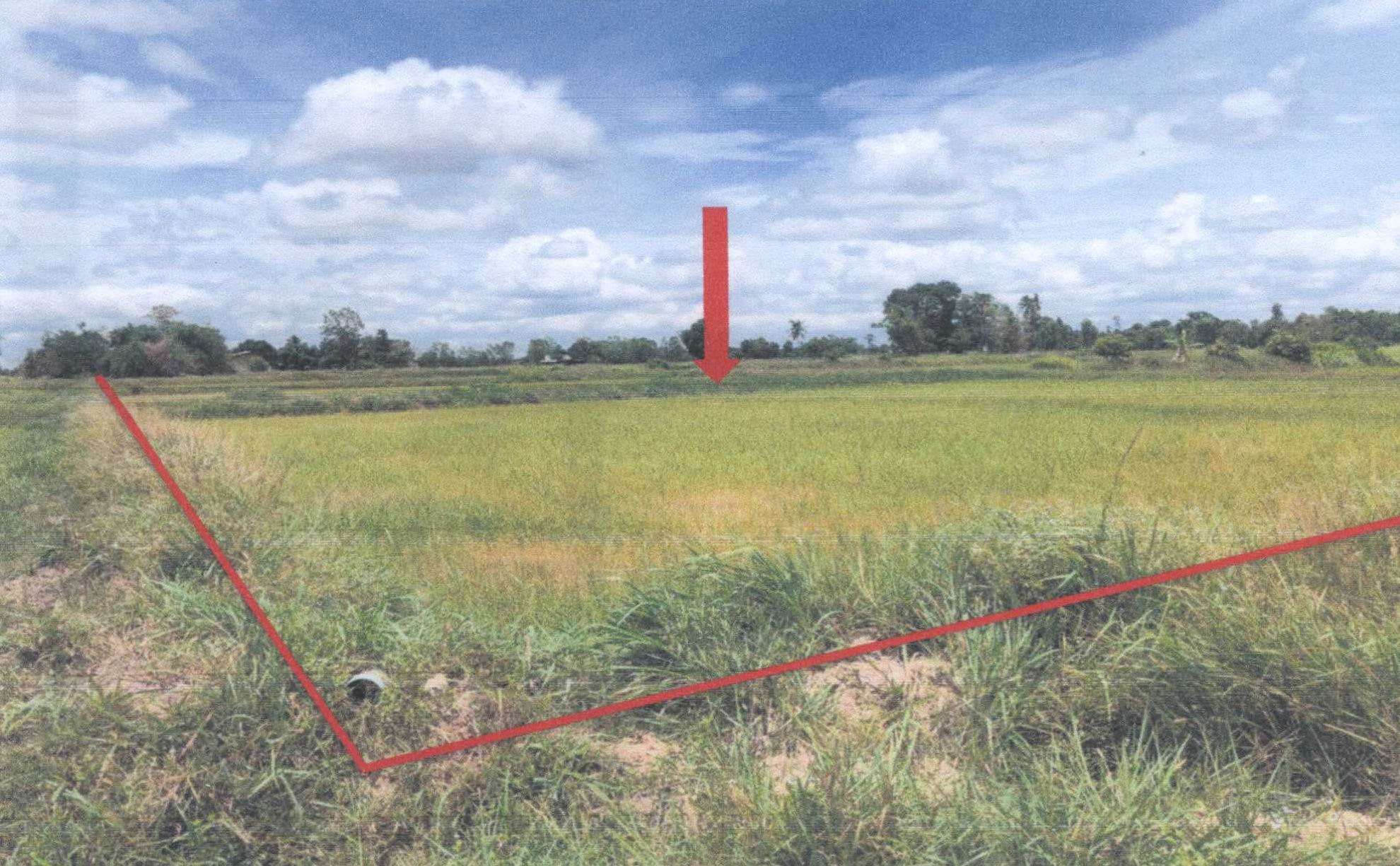 รูปที่ดินว่างเปล่า กุดชมภู พิบูลมังสาหาร อุบลราชธานี