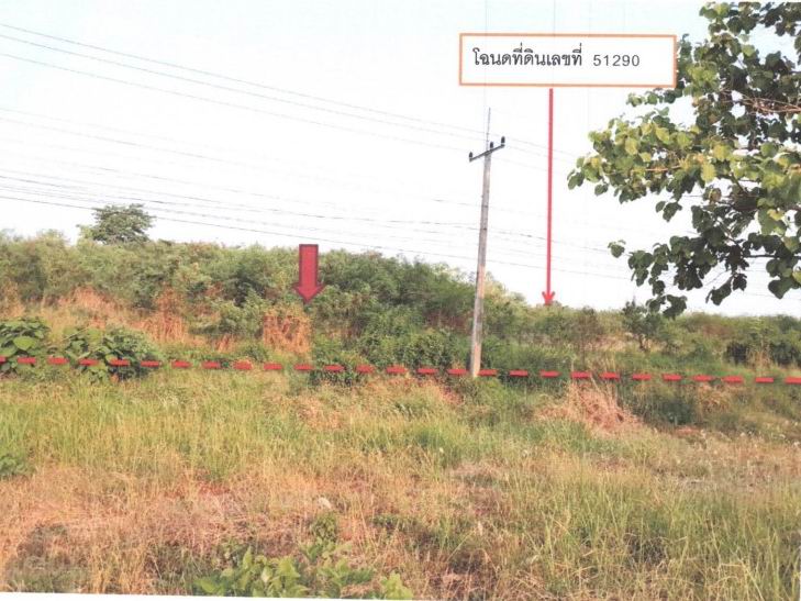 รูปที่ดินว่างเปล่า ท่าโพ เมืองพิษณุโลก พิษณุโลก