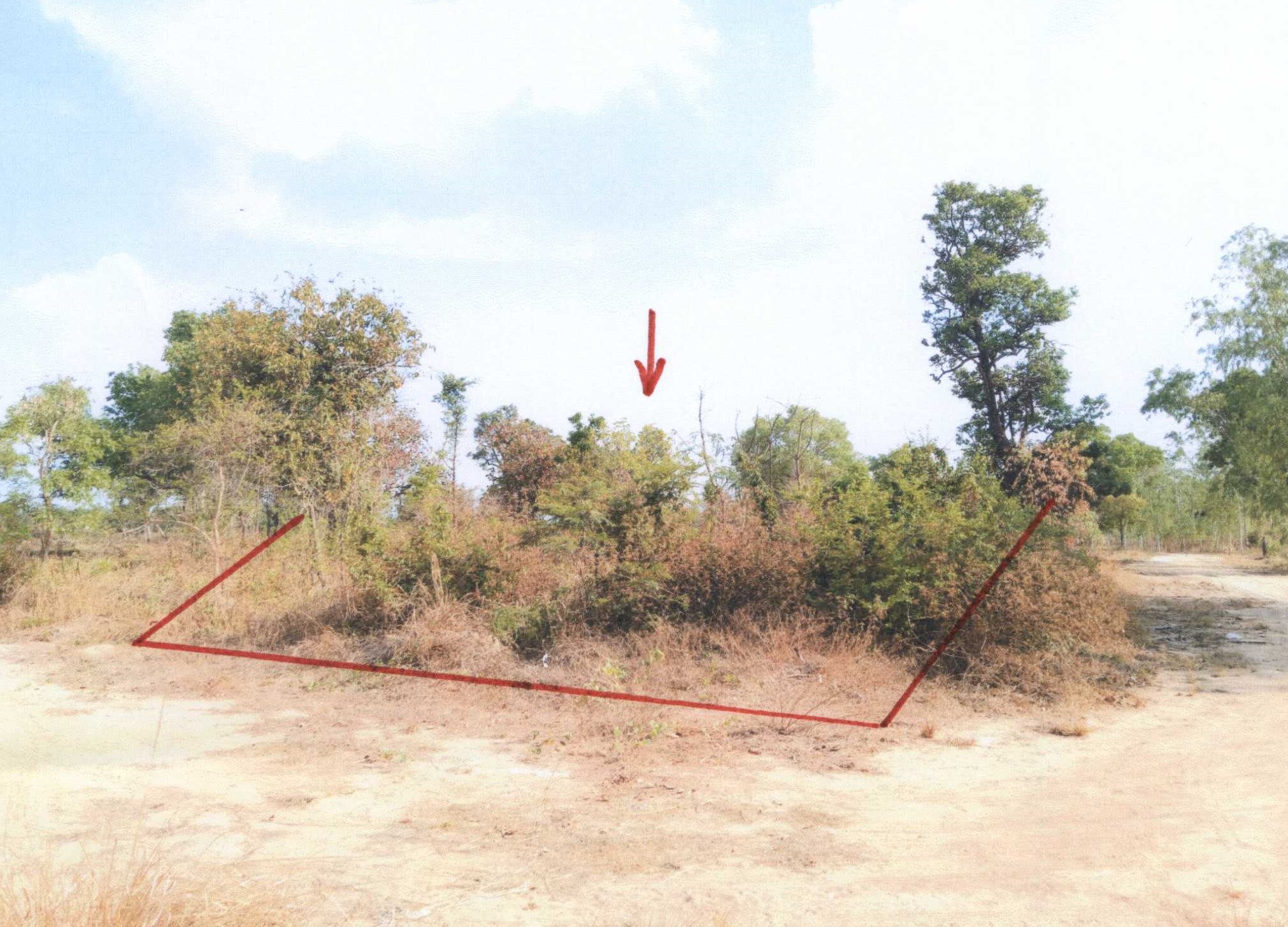 รูปที่ดินว่างเปล่า แจระแม เมืองอุบลราชธานี อุบลราชธานี