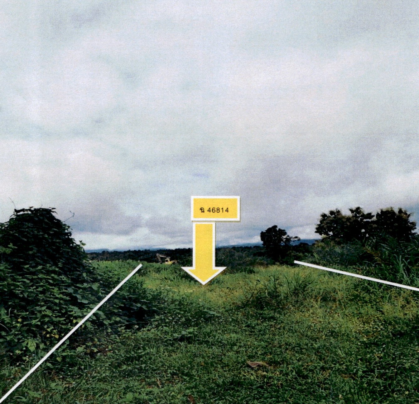 รูปที่ดินว่างเปล่า แม่สัน ห้างฉัตร ลำปาง