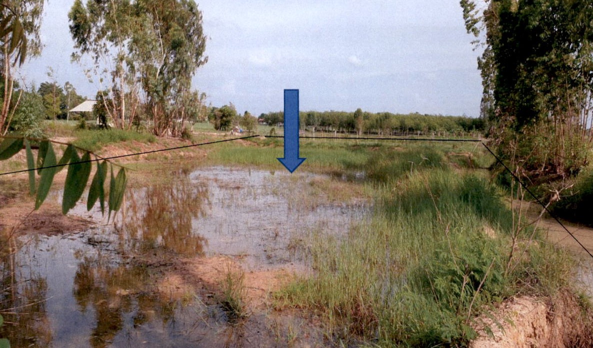 รูปที่ดินว่างเปล่า หนองกุงศรี หนองกุงศรี กาฬสินธุ์