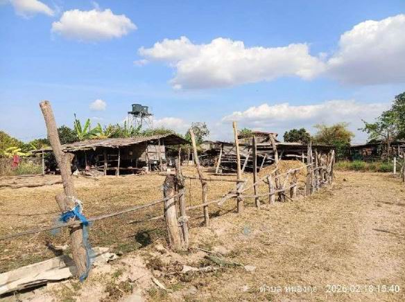 รูปที่ดินว่างเปล่า หนองกุง ชื่นชม มหาสารคาม