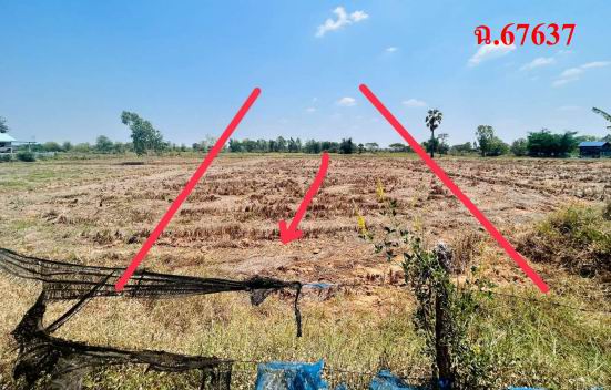 รูปที่ดินว่างเปล่า ขามเฒ่าพัฒนา กันทรวิชัย มหาสารคาม