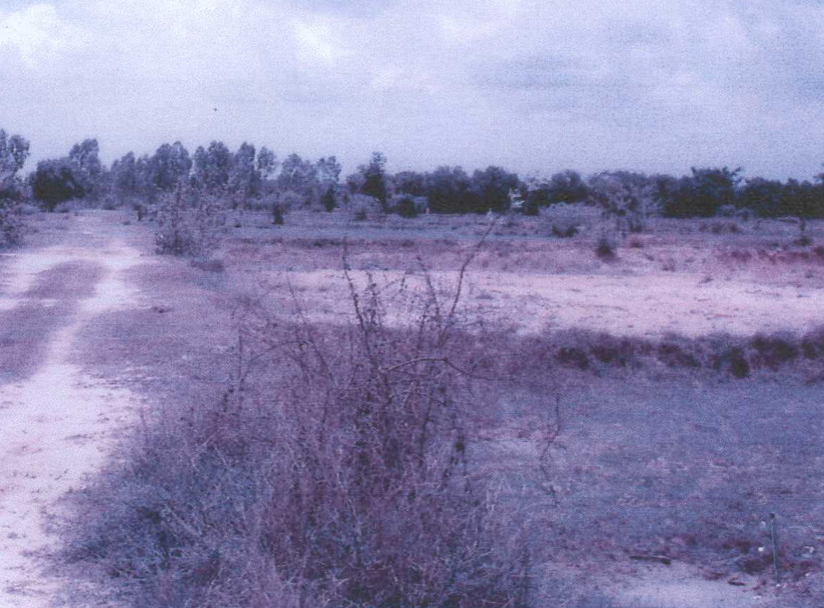 รูปที่ดินว่างเปล่า แจระแม เมืองอุบลราชธานี อุบลราชธานี