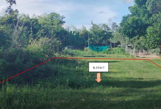 รูปที่ดินว่างเปล่า ยางโยภาพ ม่วงสามสิบ อุบลราชธานี
