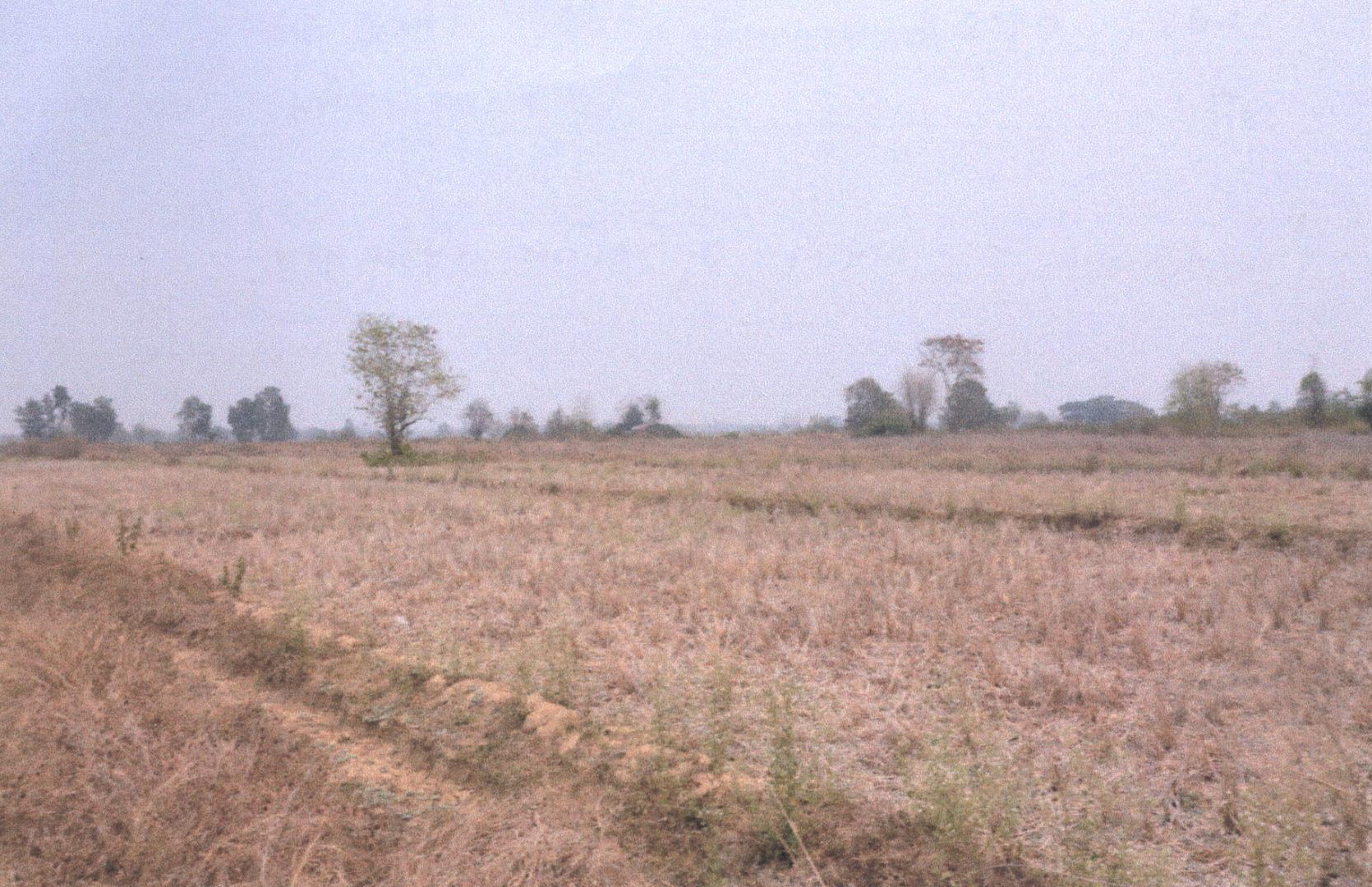 รูปที่ดินว่างเปล่า เหมืองหม้อ เมืองแพร่ แพร่