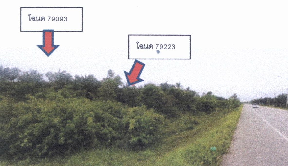 รูปที่ดินว่างเปล่า บางลึก เมืองชุมพร ชุมพร