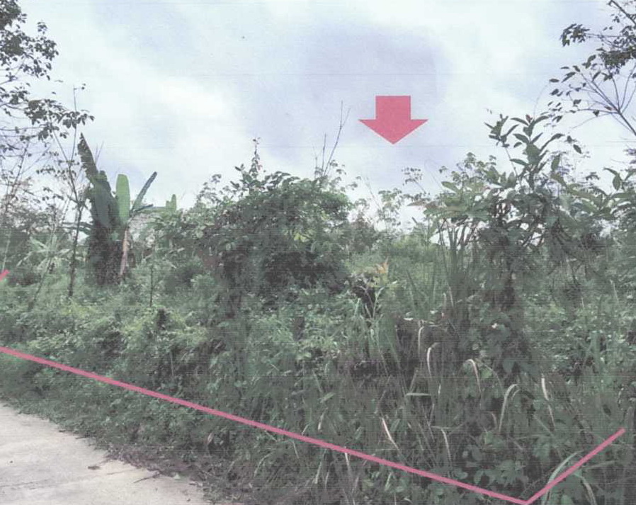 รูปที่ดินว่างเปล่า บาตง รือเสาะ นราธิวาส