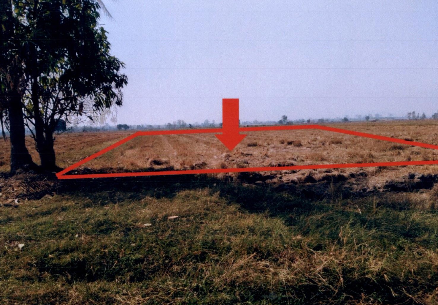 รูปที่ดินว่างเปล่า ท่าไม้ พรานกระต่าย กำแพงเพชร