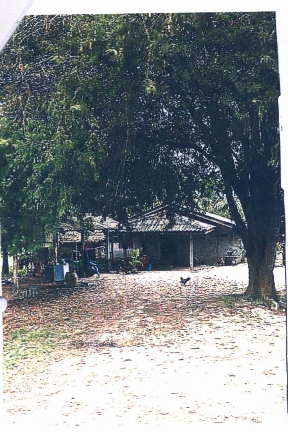 รูปที่ดินพร้อมสิ่งปลูกสร้าง ปากหมาก ไชยา สุราษฎร์ธานี