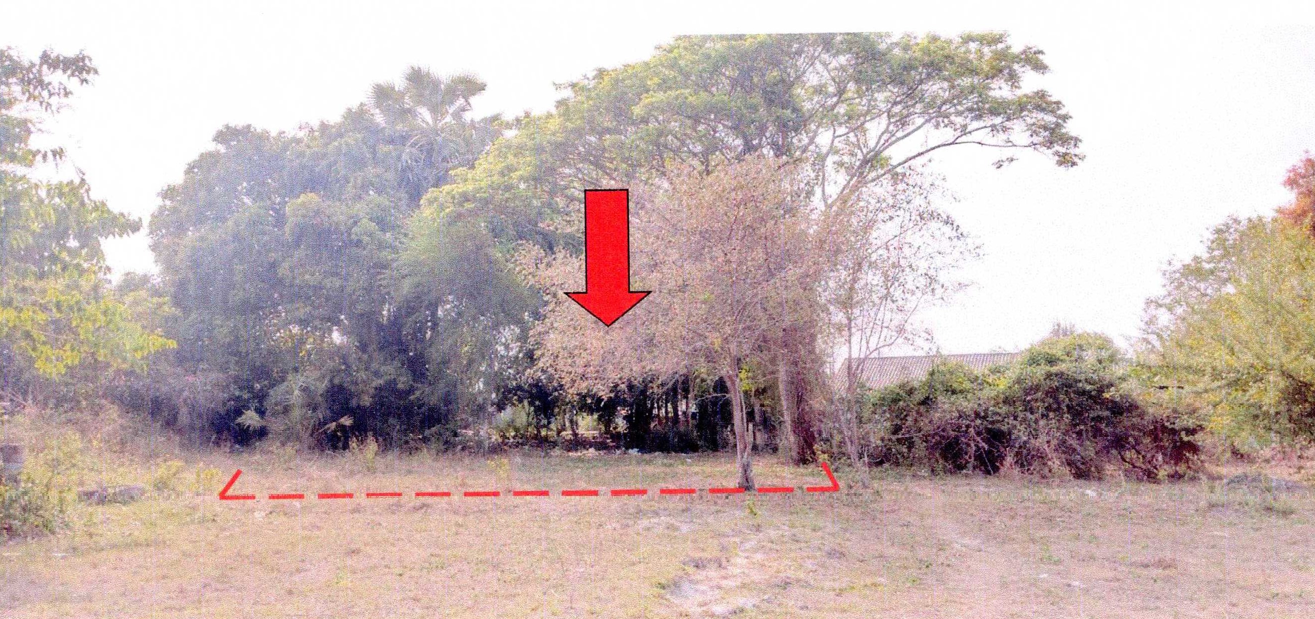 รูปที่ดินว่างเปล่า มีชัย เมืองหนองคาย หนองคาย