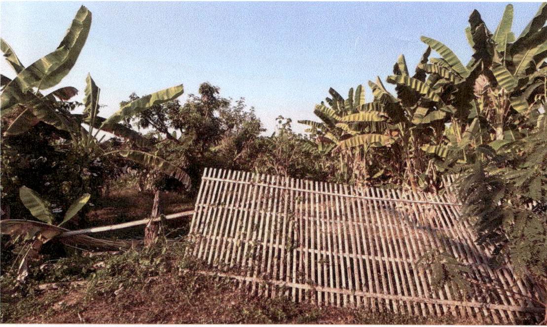 รูปที่ดินว่างเปล่า บ้านเป้า เมืองลำปาง ลำปาง