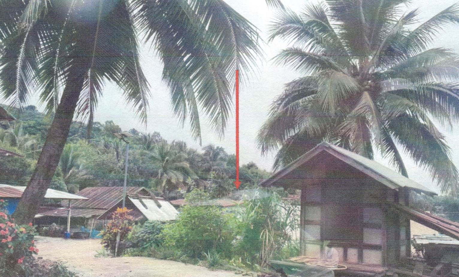 รูปที่ดินว่างเปล่า กกดู่ เมืองเลย เลย