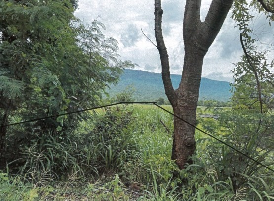 รูปที่ดินว่างเปล่า หนองข่า เกษตรสมบูรณ์ ชัยภูมิ