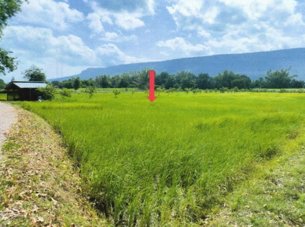 รูปที่ดินว่างเปล่า หนองข่า เกษตรสมบูรณ์ ชัยภูมิ