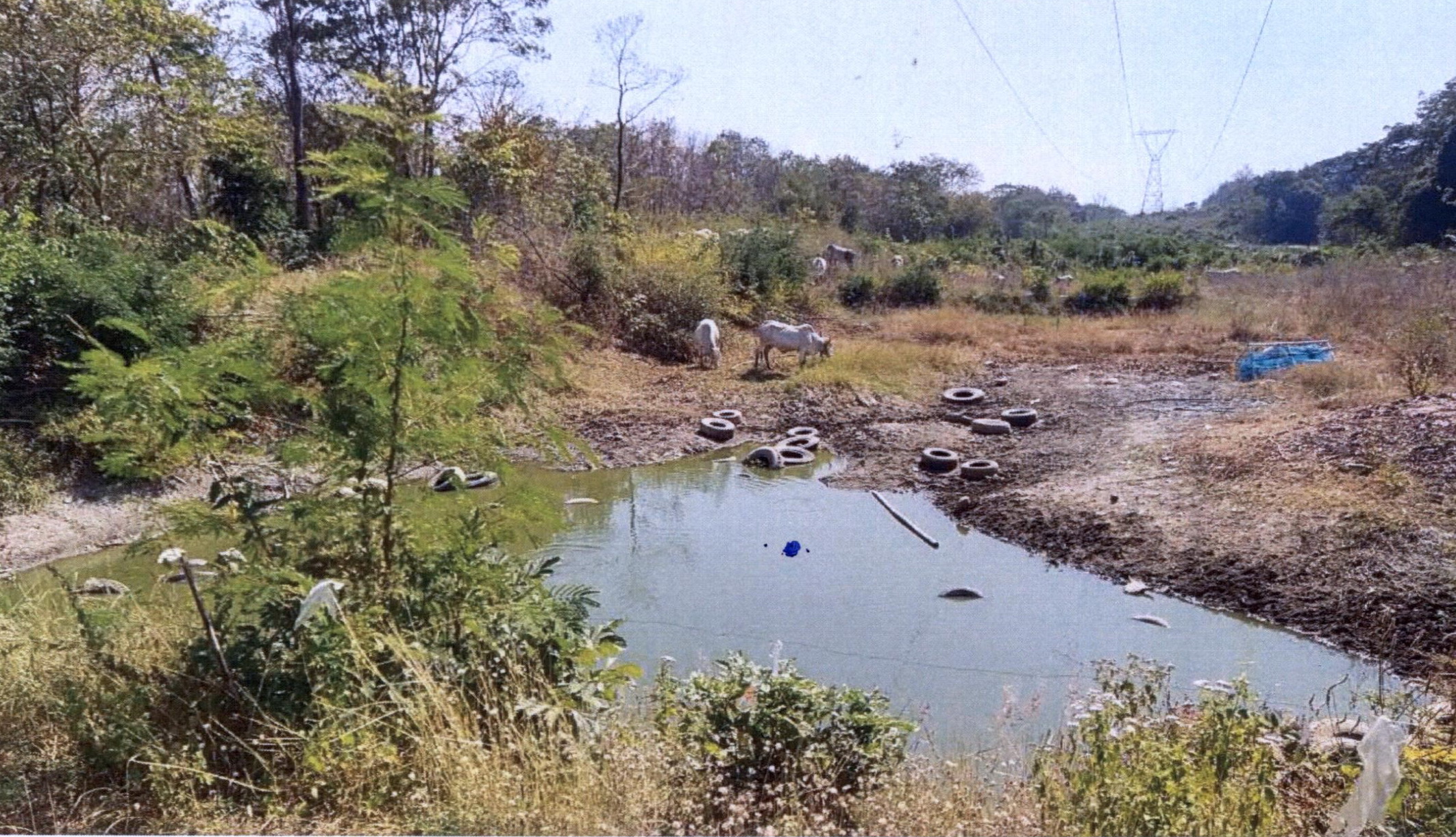 รูปที่ดินว่างเปล่า หนองบัวใต้ เมืองตาก ตาก