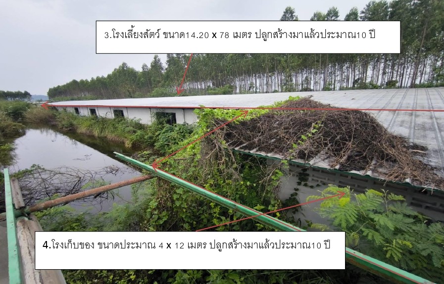 รูปที่ดินพร้อมสิ่งปลูกสร้าง คลองหินปูน วังน้ำเย็น สระแก้ว