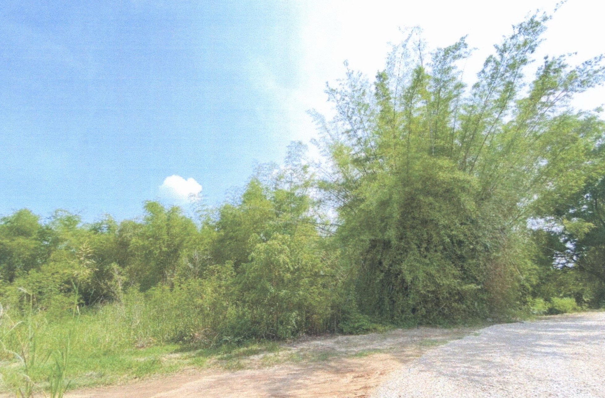 รูปที่ดินว่างเปล่า หนองไผ่แบน เมืองอุทัยธานี อุทัยธานี
