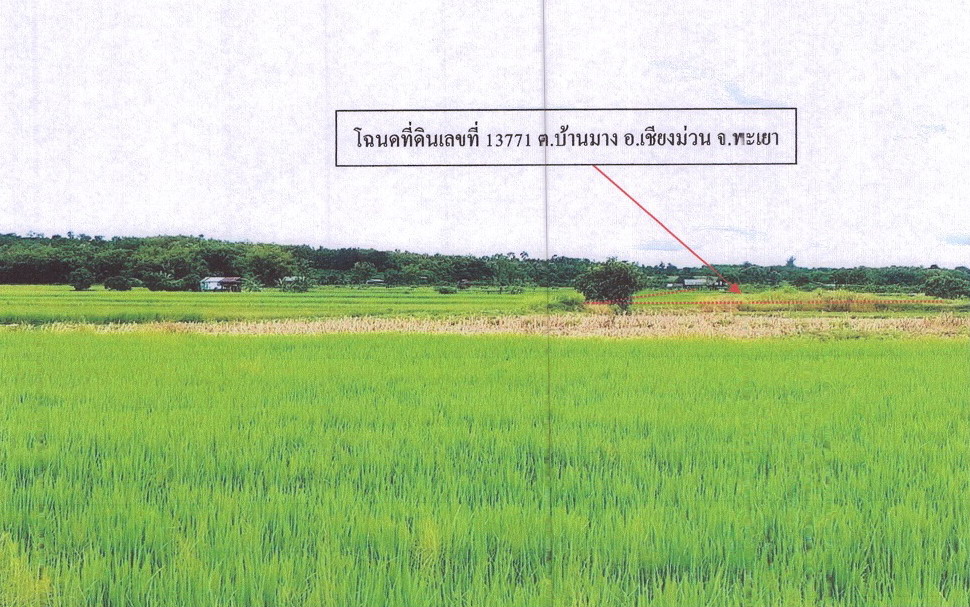 รูปที่ดินว่างเปล่า บ้านมาง เชียงม่วน พะเยา