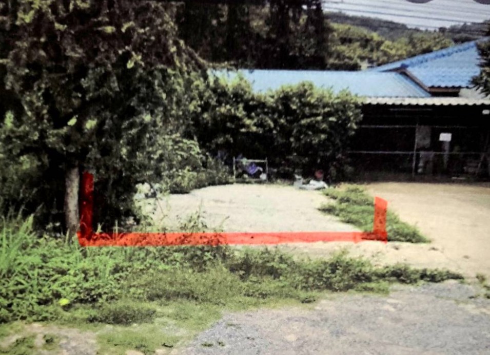รูปที่ดินว่างเปล่า หนองสาหร่าย ปากช่อง นครราชสีมา
