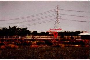รูปที่ดินว่างเปล่า ไผ่หูช้าง บางเลน นครปฐม