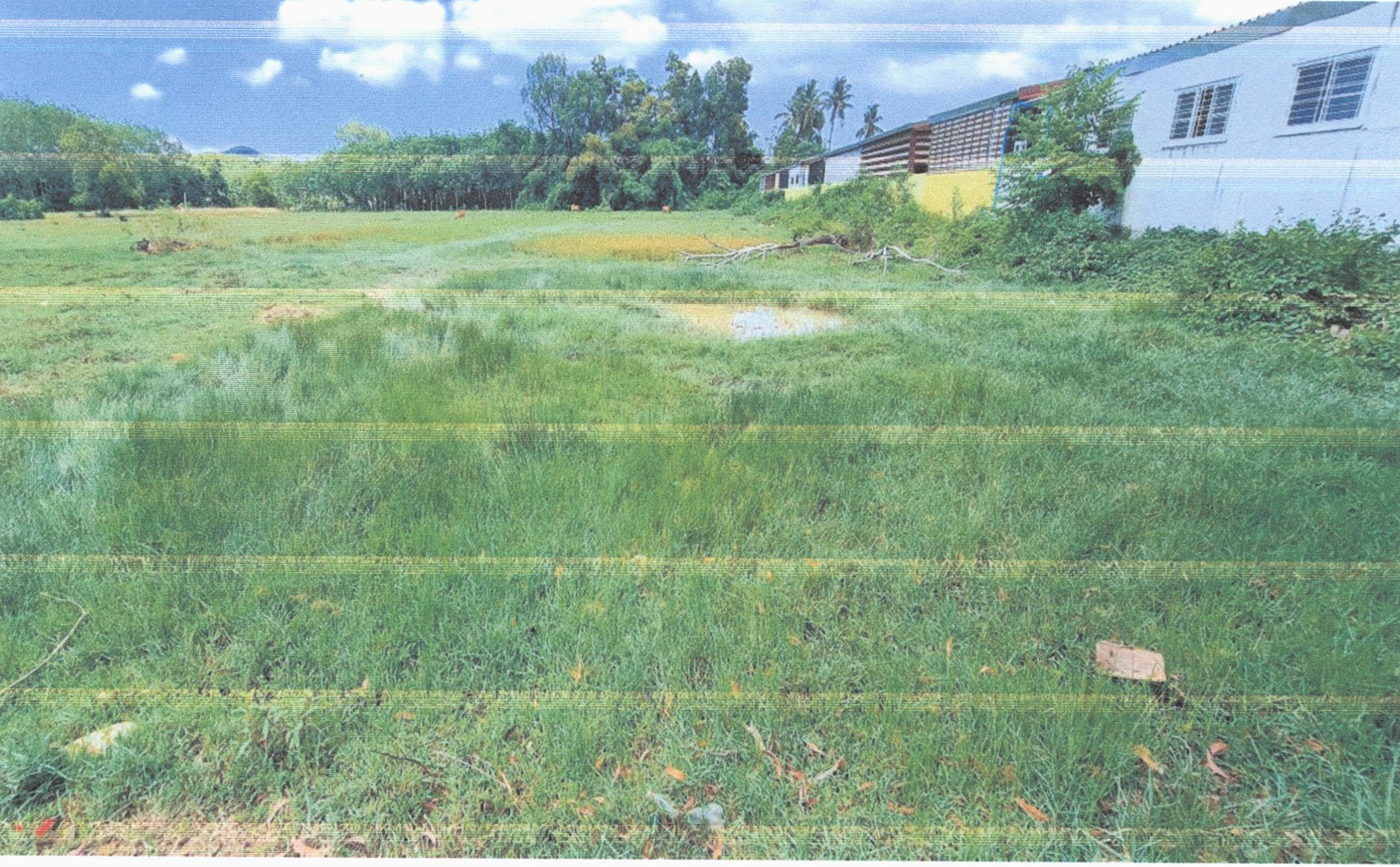 รูปที่ดินว่างเปล่า คลองแห หาดใหญ่ สงขลา