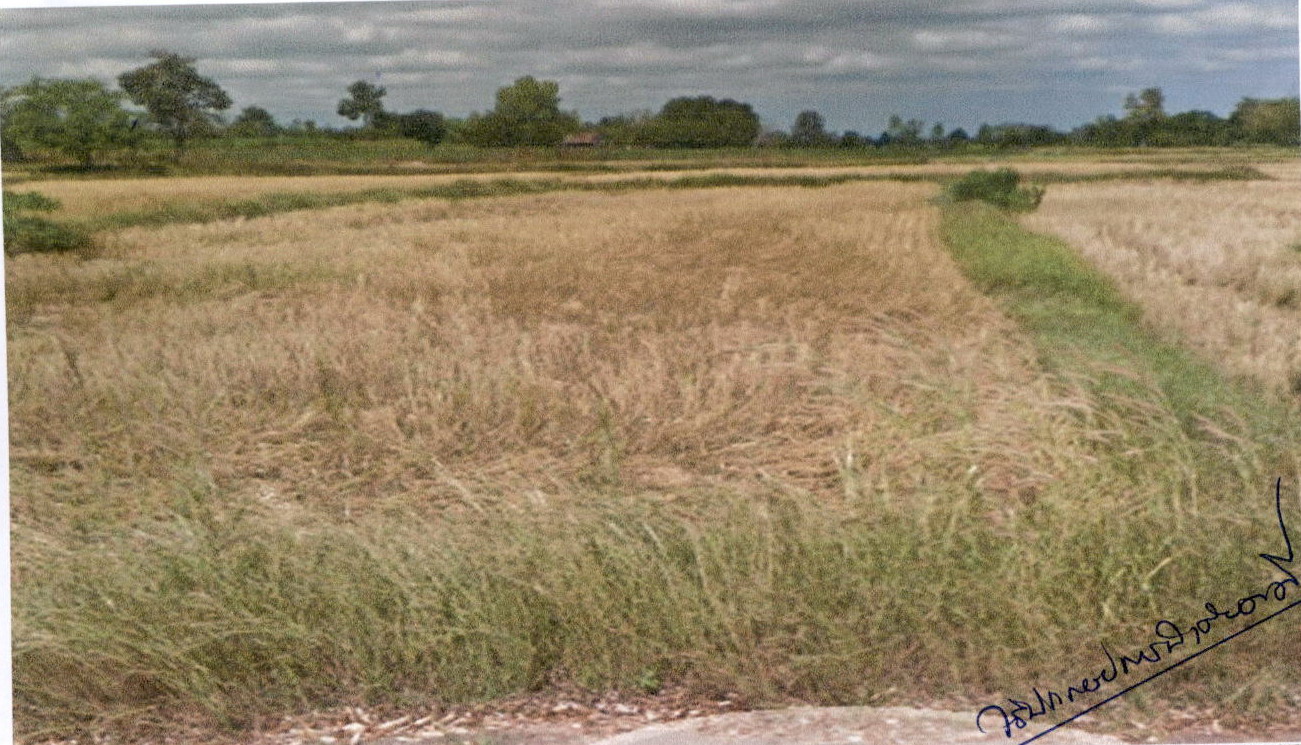 รูปที่ดินว่างเปล่า นามะเขือ สหัสขันธ์ กาฬสินธุ์