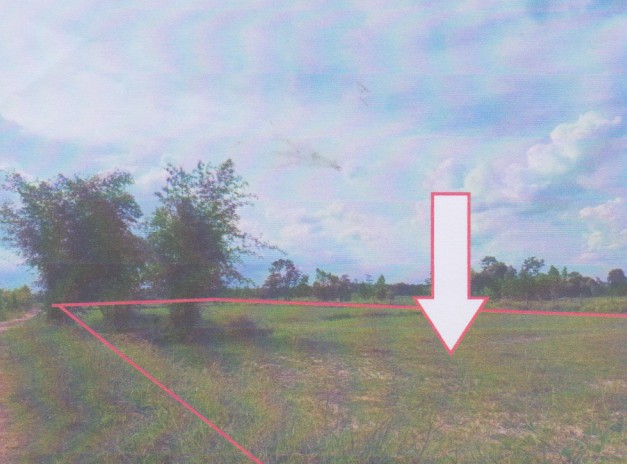 รูปที่ดินว่างเปล่า วังสามัคคี โพนทอง ร้อยเอ็ด