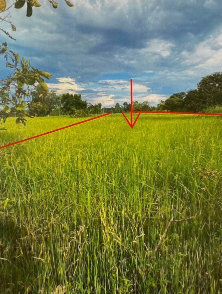 รูปที่ดินว่างเปล่า หนองนาคำ เมืองอุดรธานี อุดรธานี