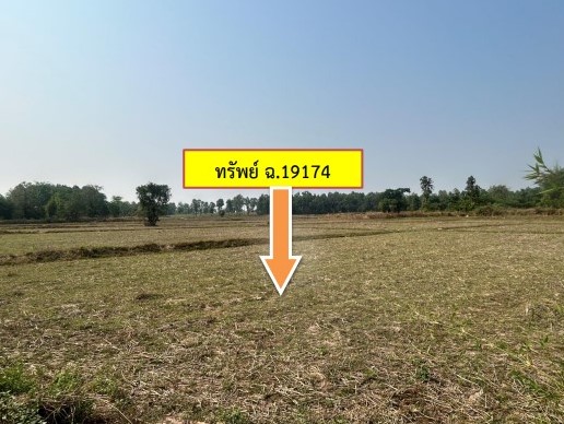 รูปที่ดินว่างเปล่า มหาไชย สมเด็จ กาฬสินธุ์