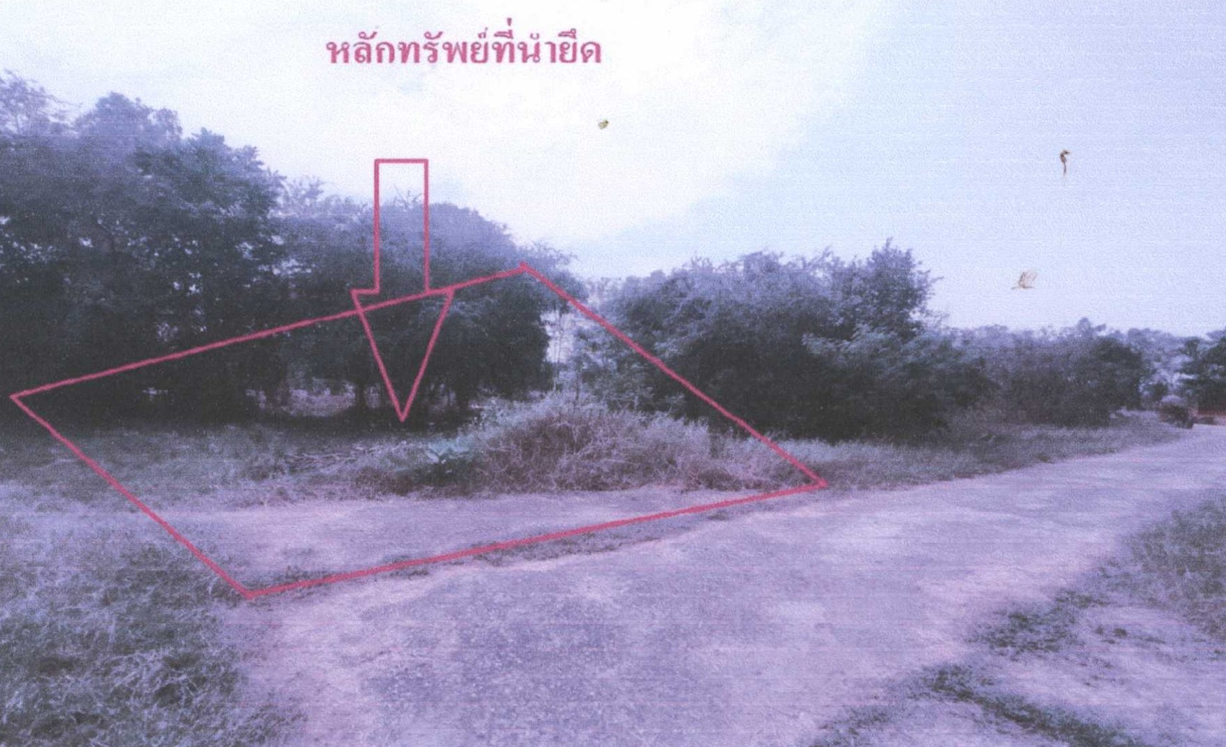 รูปที่ดินว่างเปล่า แวงน่าง เมืองมหาสารคาม มหาสารคาม
