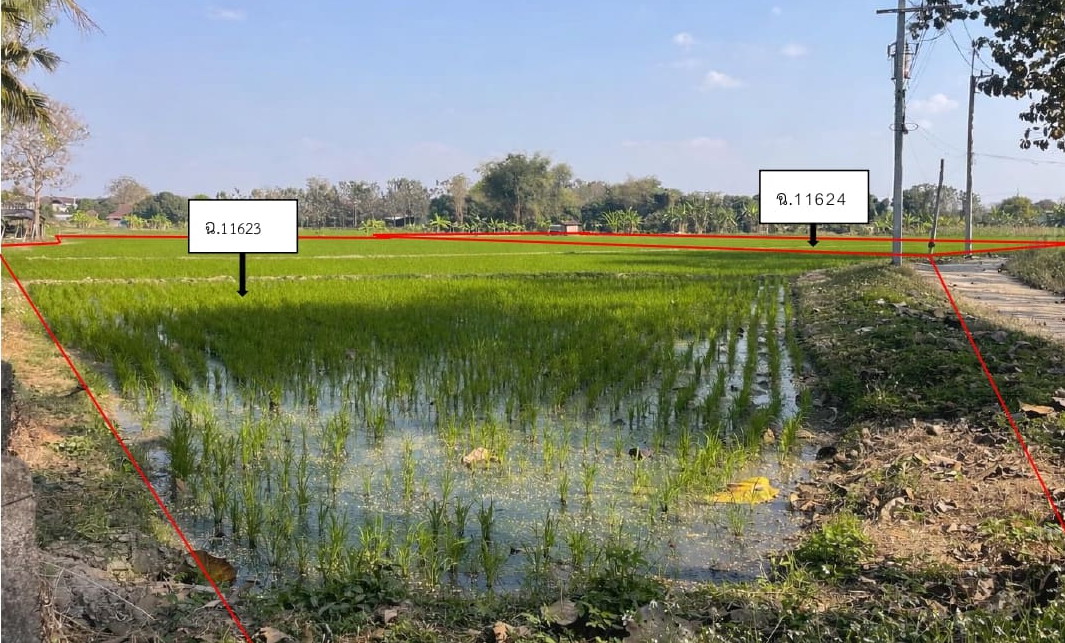 รูปที่ดินว่างเปล่า ริมใต้ แม่ริม เชียงใหม่