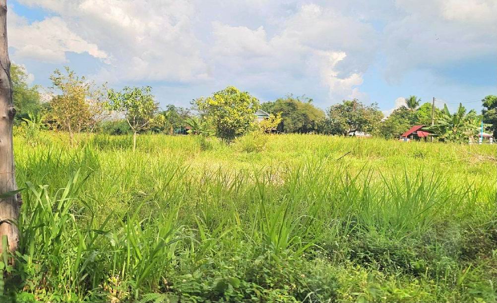 รูปที่ดินว่างเปล่า หนองกุง ชื่นชม มหาสารคาม