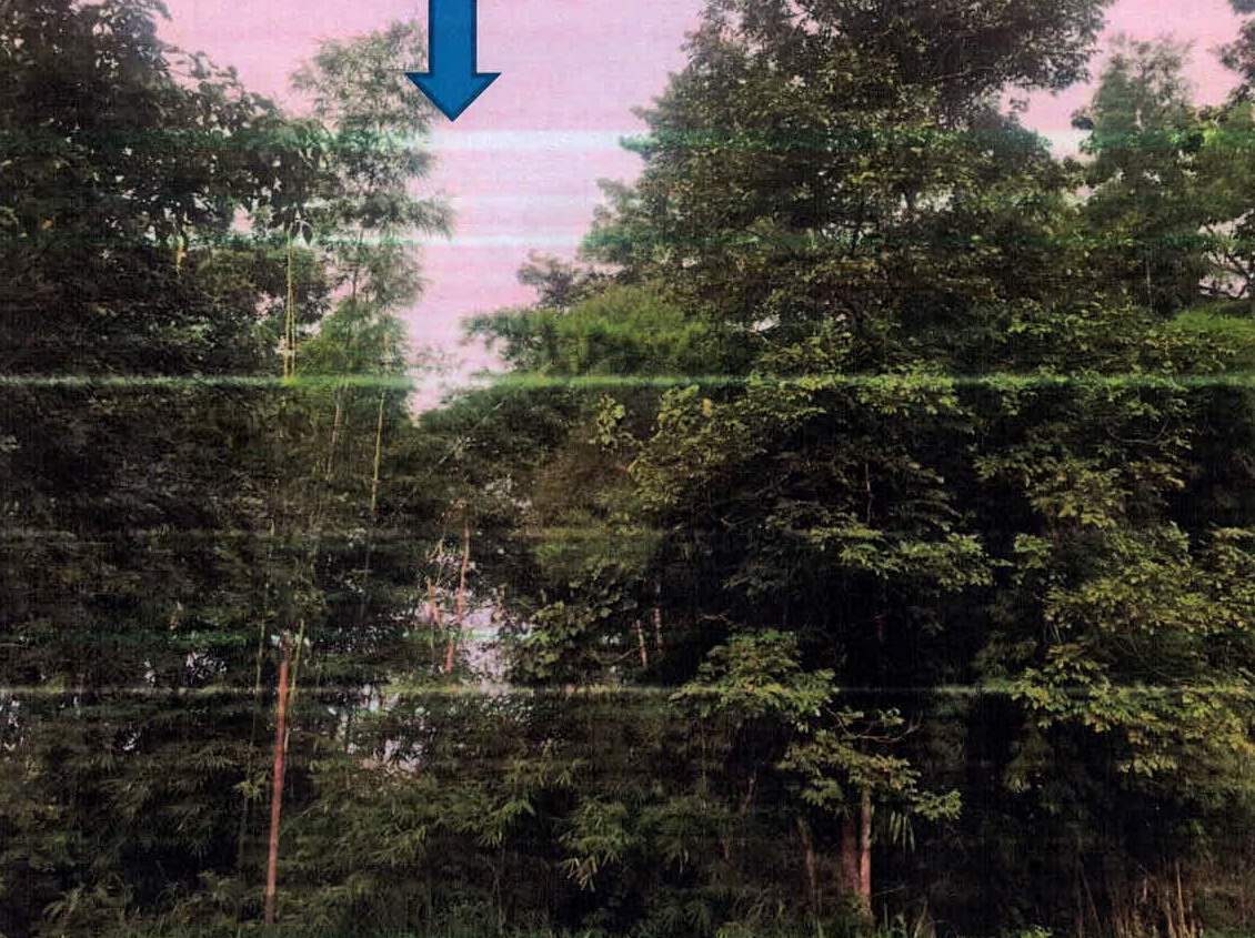 รูปที่ดินว่างเปล่า บ้านเป้า เมืองลำปาง ลำปาง